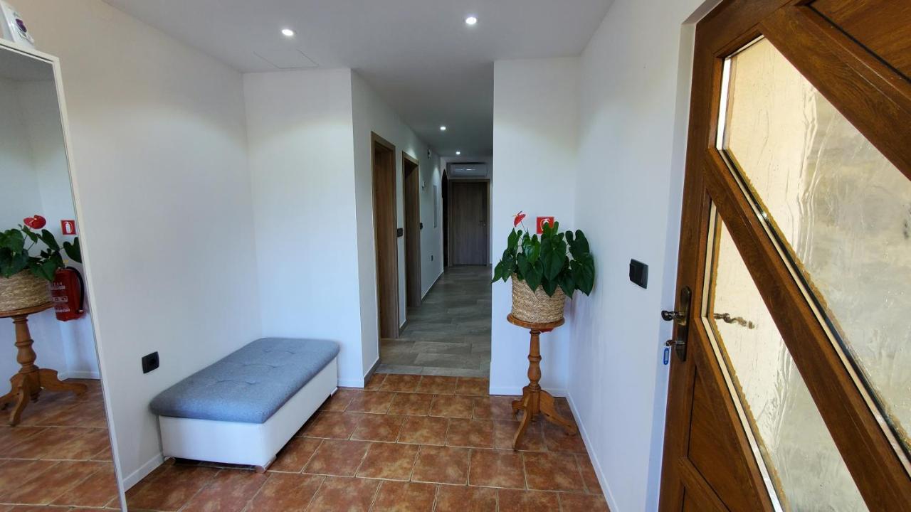 Apartma Ksela Mala Nedelja 外观 照片