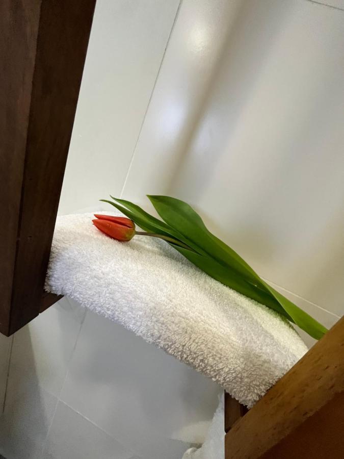 Apartma Ksela Mala Nedelja 外观 照片