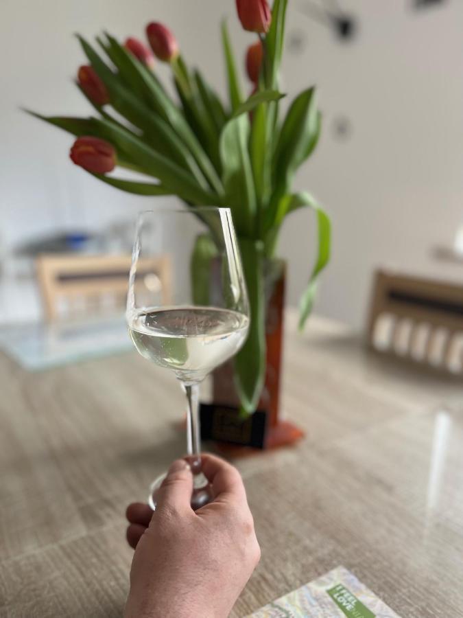 Apartma Ksela Mala Nedelja 外观 照片